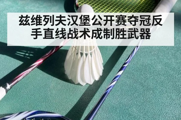 兹维列夫汉堡公开赛夺冠反手直线战术成制胜武器