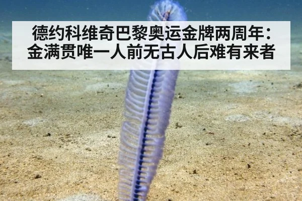 德约科维奇巴黎奥运金牌两周年：金满贯唯一人前无古人后难有来者
