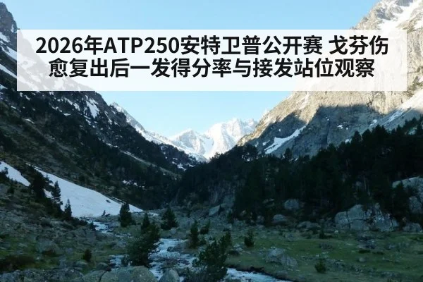 2026年ATP250安特卫普公开赛 戈芬伤愈复出后一发得分率与接发站位观察